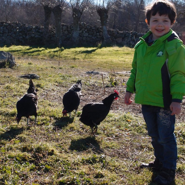Finca de agroturismo de 4000m² con animales y huerto ecológico para familias Niña sonriente con chaqueta verde junto a gallinas negras en un campo.
